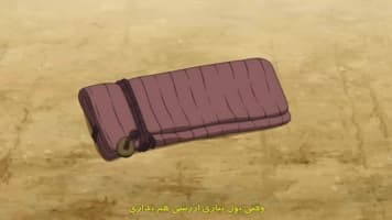شمشیرزن دوره گرد