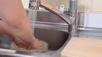 زندگی در ژاپن با لوسی