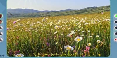 جین