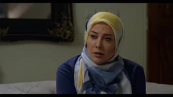 تازه وارد