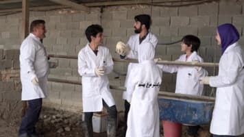 بومرنگ ( شتر مرغ )