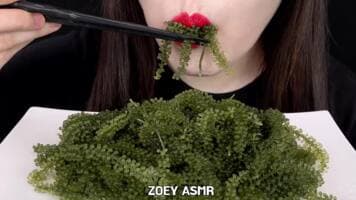 چالش غذا با zoey