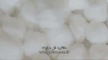 چارلی و لولا