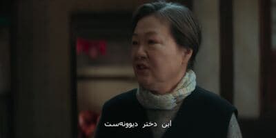 احمق های شگفت انگیز
