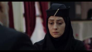 تازه وارد