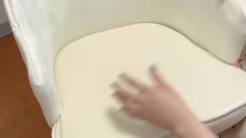 زندگی در ژاپن با لوسی