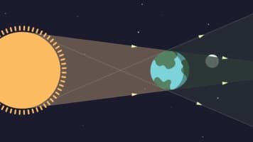 دکتر بایناکس