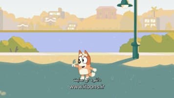 بلویی