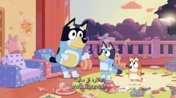 بلویی