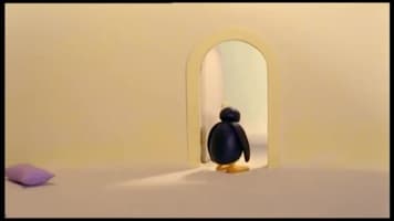 پنگوئن در شهر