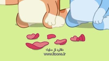بلویی
