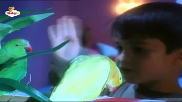 بچه ها و حیوانات ( جوجه گربه ماهی و خرگوش )