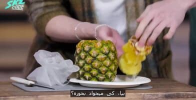 اسکیز کد