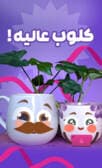 کلوب عالیه