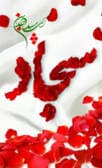 ولادت امام سجاد علیه السلام